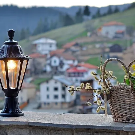 Къща за гости къщата с маковете Пампорово